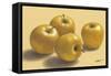 Golden Delicious-Norman Wyatt Jr.-Framed Stretched Canvas