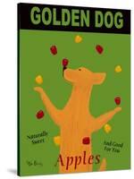 Golden Dog-Ken Bailey-Stretched Canvas