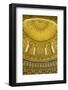 Golden dome inside the magnificent Grand Mosque, Kuwait City, Kuwait, Middle East-Michael Runkel-Framed Photographic Print