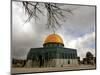 Golden Dome of the Rock Mosque inside Al Aqsa Mosque, Jerusalem, Israel-Muhammed Muheisen-Mounted Photographic Print