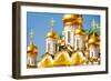 Golden Domes of Annunciation Cathedral, Moscow-SerrNovik-Framed Photographic Print