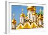 Golden Domes of Annunciation Cathedral, Moscow-SerrNovik-Framed Photographic Print