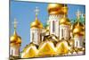 Golden Domes of Annunciation Cathedral, Moscow-SerrNovik-Mounted Photographic Print