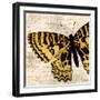 Golden Dreams I-Elizabeth Medley-Framed Art Print