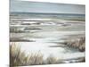 Golden Dunes-Patricia Pinto-Mounted Art Print