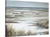 Golden Dunes-Patricia Pinto-Stretched Canvas