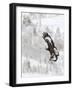 Golden Eagle (Aquila Chrysaetos) in Flight, Flatanger, Norway, November 2008-Widstrand-Framed Photographic Print