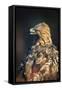 Golden eagle (Aquila chrysaetos), Sweden, Scandinavia, Europe-Janette Hill-Framed Stretched Canvas