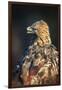 Golden eagle (Aquila chrysaetos), Sweden, Scandinavia, Europe-Janette Hill-Framed Premium Photographic Print