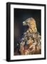 Golden eagle (Aquila chrysaetos), Sweden, Scandinavia, Europe-Janette Hill-Framed Photographic Print