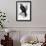 Golden Eagle (Aquila Chrysaetos)-John Gould-Framed Giclee Print displayed on a wall