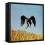Golden Eagle Clutching a Squirrel in Its Talons-George Silk-Framed Stretched Canvas