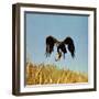 Golden Eagle Clutching a Squirrel in Its Talons-George Silk-Framed Photographic Print