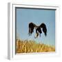 Golden Eagle Clutching a Squirrel in Its Talons-George Silk-Framed Photographic Print