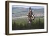 Golden Eagle in Flight-null-Framed Photographic Print