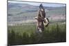 Golden Eagle in Flight-null-Mounted Photographic Print