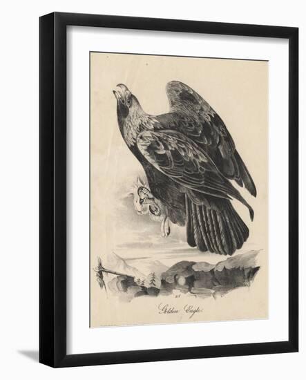 Golden Eagle, Litho by J.T. Bowen, from 'Birds of America', 1840-John James Audubon-Framed Giclee Print