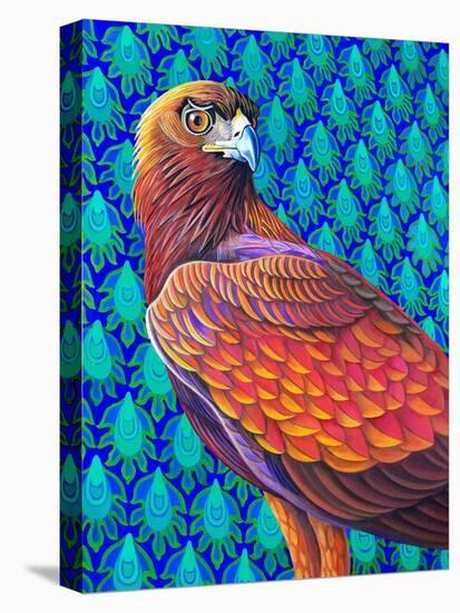 Golden eagle-Jane Tattersfield-Stretched Canvas
