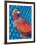 Golden eagle-Jane Tattersfield-Framed Giclee Print