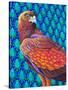 Golden eagle-Jane Tattersfield-Stretched Canvas