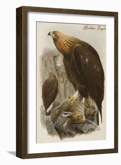 Golden Eagle-John Gould-Framed Art Print