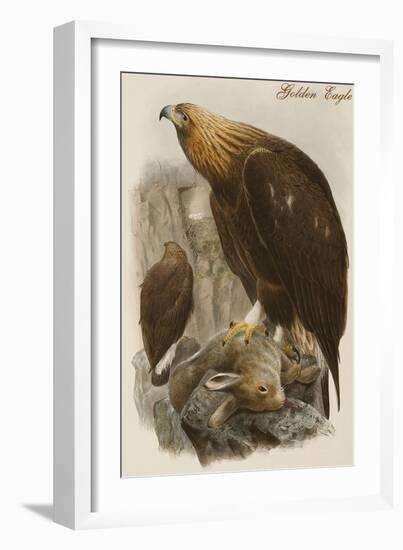 Golden Eagle-John Gould-Framed Art Print