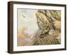 Golden Eagles at Eyrie-Carl Donner-Framed Giclee Print