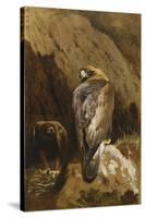 Golden Eagles at their Eyrie, 1900-Archibald Thorburn-Stretched Canvas