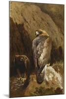 Golden Eagles at their Eyrie, 1900-Archibald Thorburn-Mounted Giclee Print