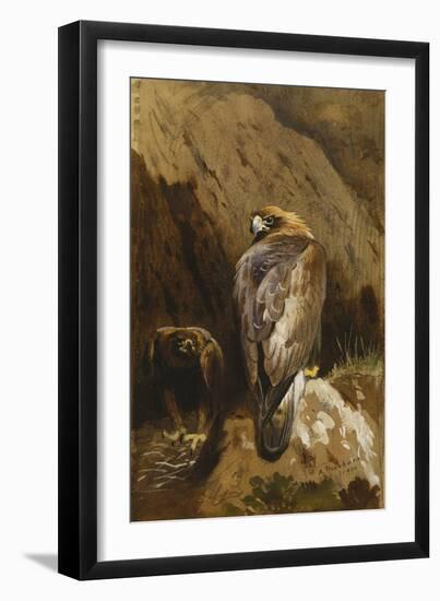 Golden Eagles at their Eyrie, 1900-Archibald Thorburn-Framed Premium Giclee Print