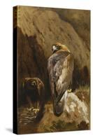 Golden Eagles at their Eyrie, 1900-Archibald Thorburn-Stretched Canvas