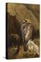 Golden Eagles at their Eyrie-Archibald Thorburn-Stretched Canvas