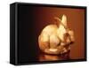 Golden Easter Bunny-Frithjof Hirdes-Framed Stretched Canvas