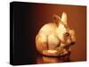 Golden Easter Bunny-Frithjof Hirdes-Stretched Canvas