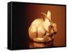 Golden Easter Bunny-Frithjof Hirdes-Framed Stretched Canvas