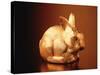 Golden Easter Bunny-Frithjof Hirdes-Stretched Canvas