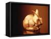 Golden Easter Bunny-Frithjof Hirdes-Framed Stretched Canvas