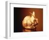 Golden Easter Bunny-Frithjof Hirdes-Framed Photographic Print