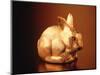 Golden Easter Bunny-Frithjof Hirdes-Mounted Photographic Print