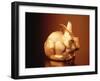 Golden Easter Bunny-Frithjof Hirdes-Framed Photographic Print