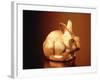 Golden Easter Bunny-Frithjof Hirdes-Framed Photographic Print