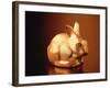 Golden Easter Bunny-Frithjof Hirdes-Framed Photographic Print