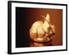 Golden Easter Bunny-Frithjof Hirdes-Framed Photographic Print