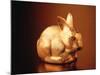 Golden Easter Bunny-Frithjof Hirdes-Mounted Photographic Print