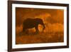 Golden Elephant in Savute-Mario Moreno-Framed Photographic Print