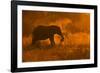 Golden Elephant in Savute-Mario Moreno-Framed Photographic Print