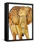 Golden Elephant-OnRei-Framed Stretched Canvas