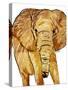 Golden Elephant-OnRei-Stretched Canvas