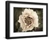 Golden Era Peony II-Rachel Perry-Framed Art Print