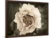 Golden Era Peony II-Rachel Perry-Framed Art Print